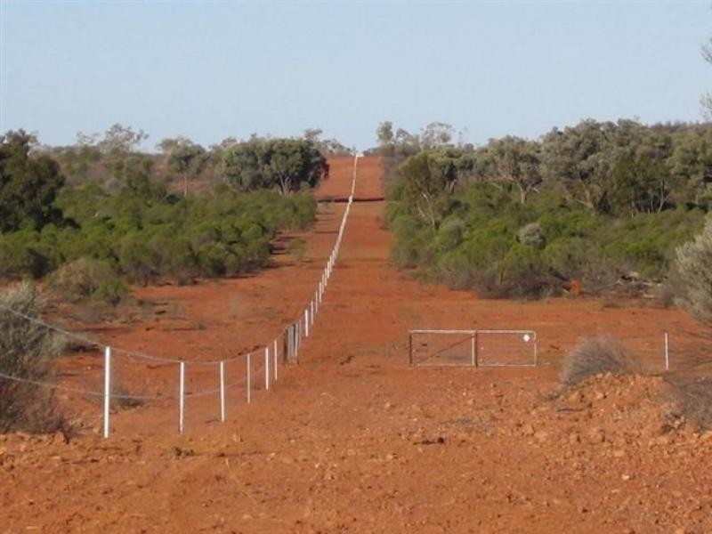 Cunnamulla QLD 4490