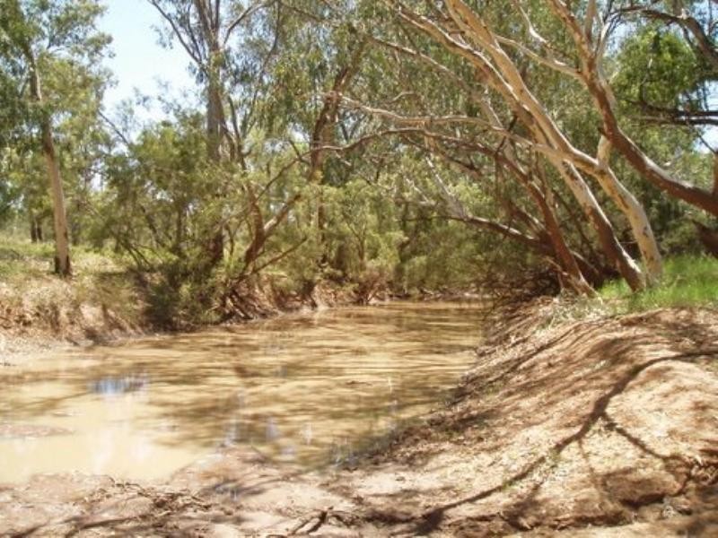 Charleville QLD 4470