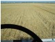 Chinchilla QLD 4413