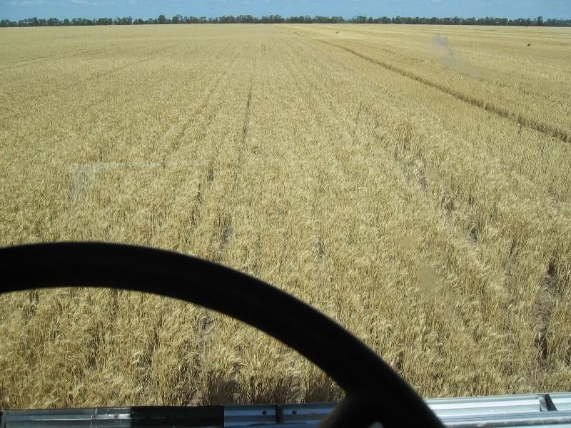 Chinchilla QLD 4413