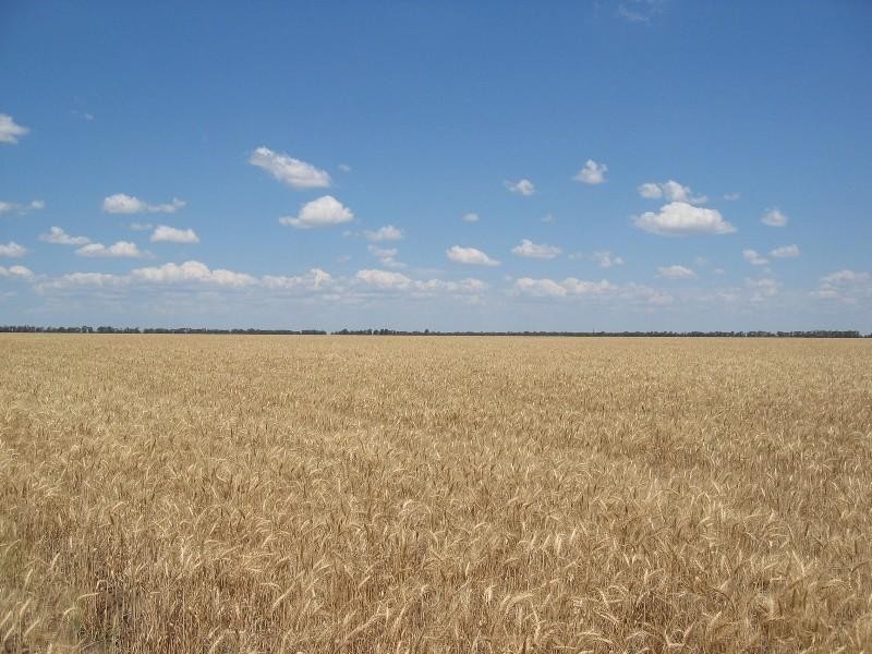 Chinchilla QLD 4413