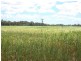 Chinchilla QLD 4413