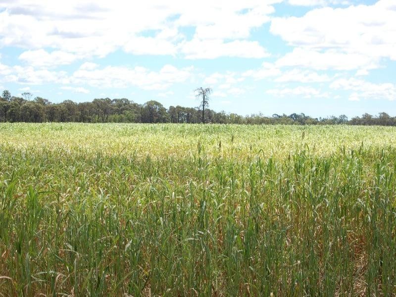 Chinchilla QLD 4413