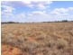 Cunnamulla QLD 4490