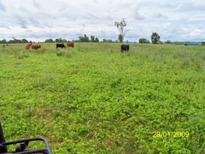 Mount Surprise QLD 4871