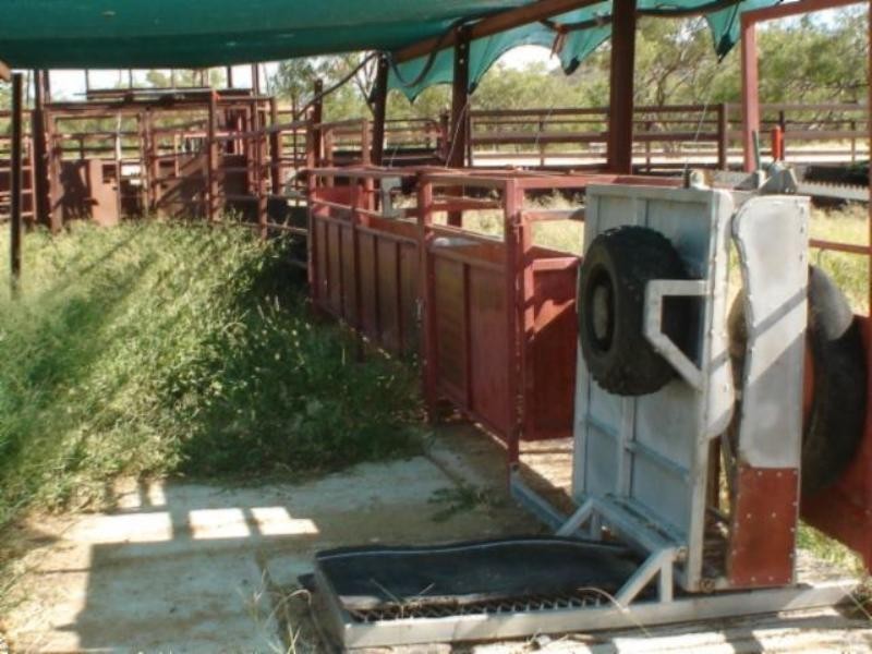 Mount Surprise QLD 4871