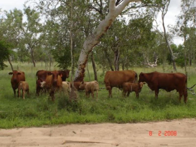 Mount Surprise QLD 4871