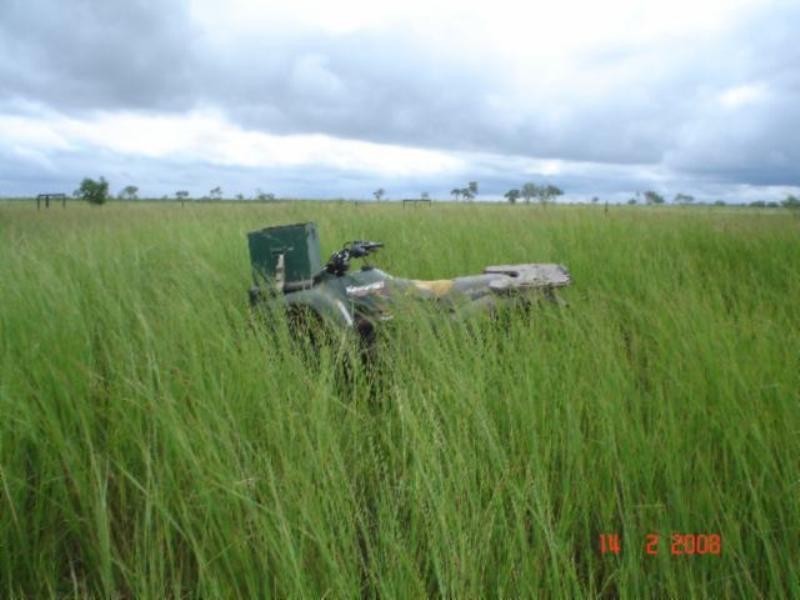 Mount Surprise QLD 4871