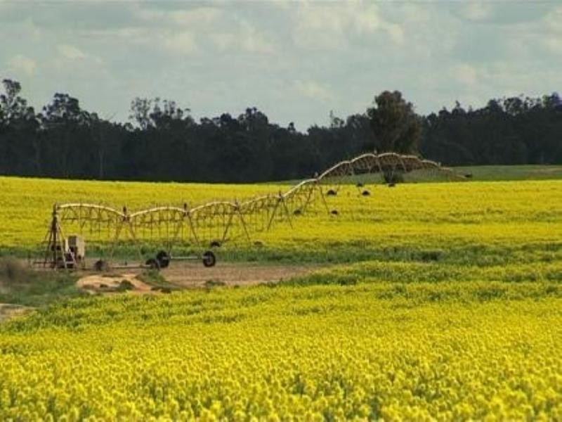 Wagga Wagga NSW 2650