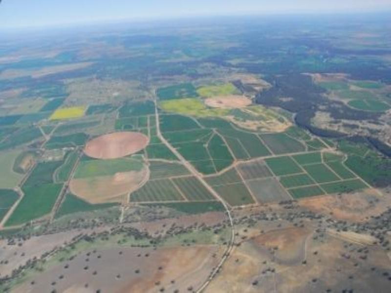 Wagga Wagga NSW 2650