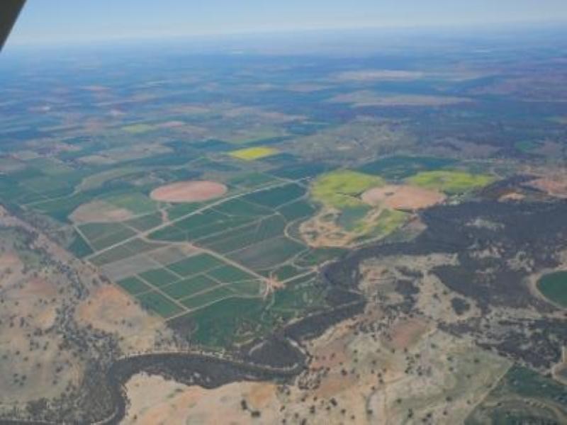 Wagga Wagga NSW 2650