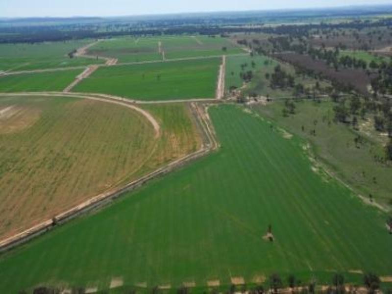 Wagga Wagga NSW 2650