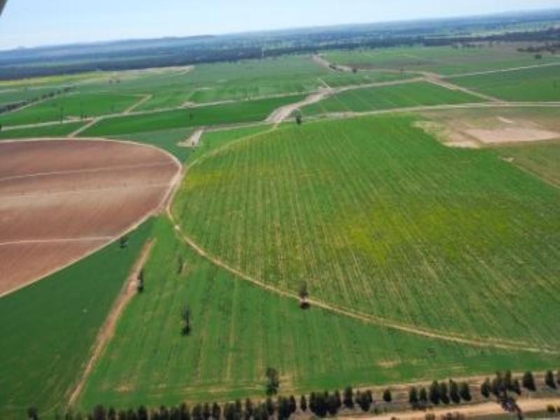 Wagga Wagga NSW 2650