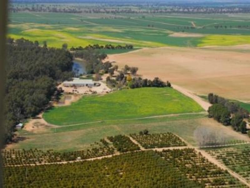 Wagga Wagga NSW 2650