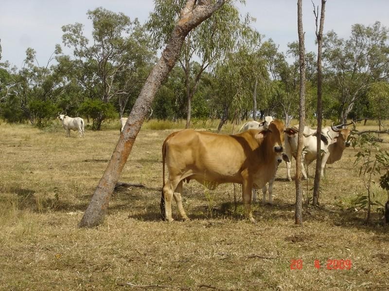Georgetown QLD 4871