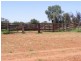 Cunnamulla QLD 4490