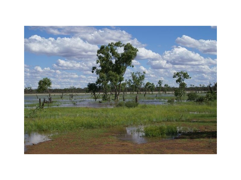 Cunnamulla QLD 4490