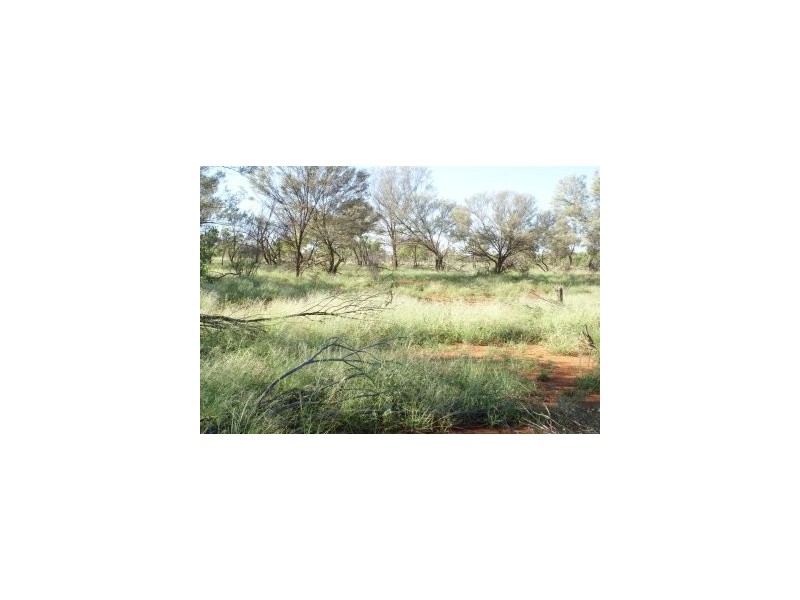 Cunnamulla QLD 4490