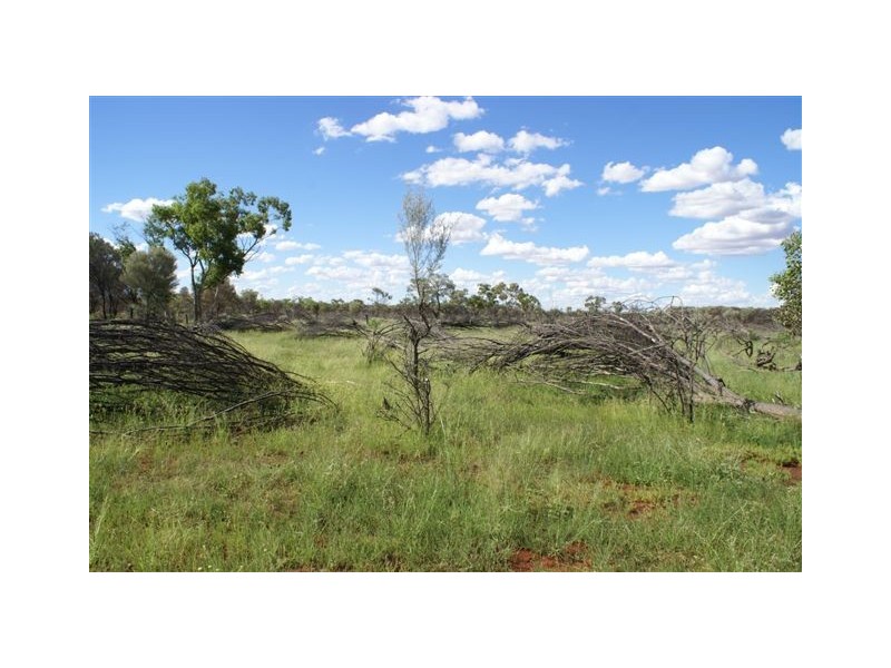Cunnamulla QLD 4490