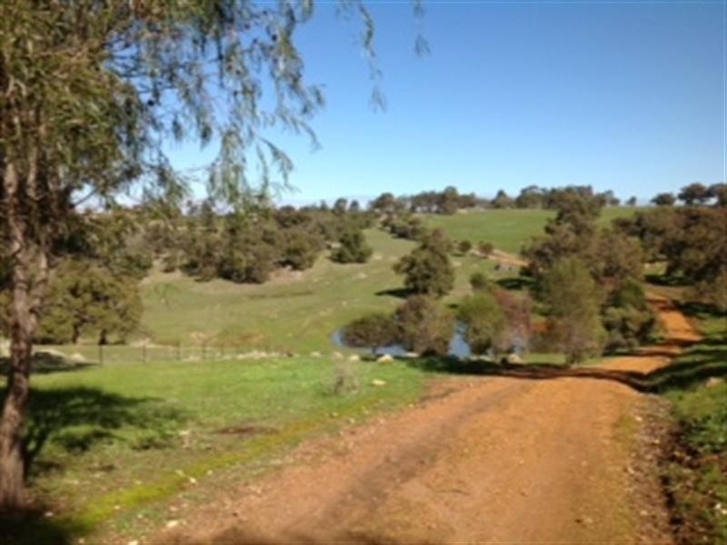 135 Clarkson Road, Bullsbrook WA 6084