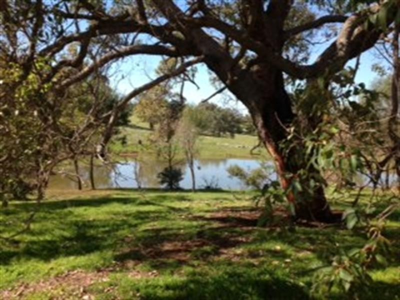 135 Clarkson Road, Bullsbrook WA 6084