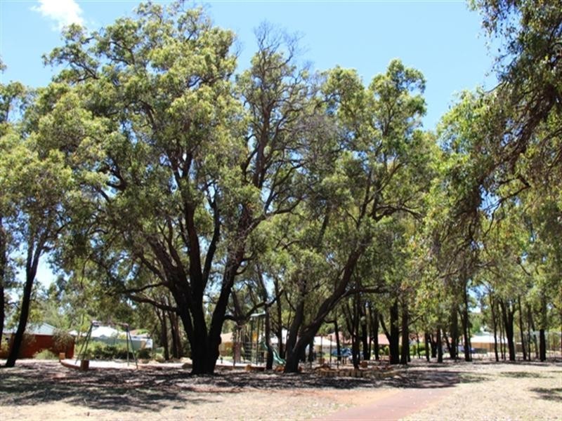 3 Emerald Lane, Bullsbrook WA 6084