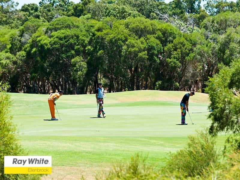 273 Vines Avenue, The Vines WA 6069