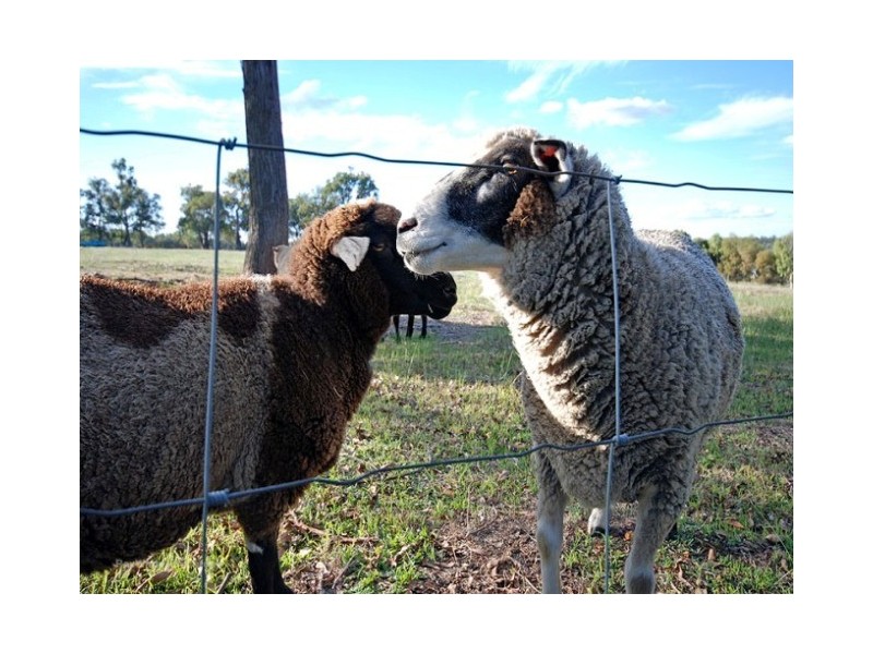 102 Ayrshire Loop, Lower Chittering WA 6084