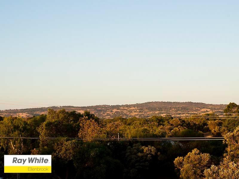 221 Vines Avenue, The Vines WA 6069