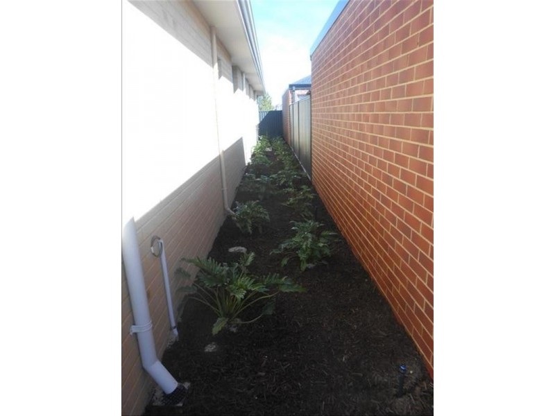 11 Vienta Street, Aveley WA 6069