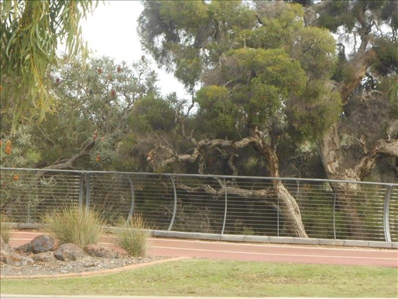 10 Elmridge Parkway, Ellenbrook WA 6069