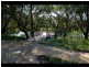 5 Palomino Prom, The Vines WA 6069