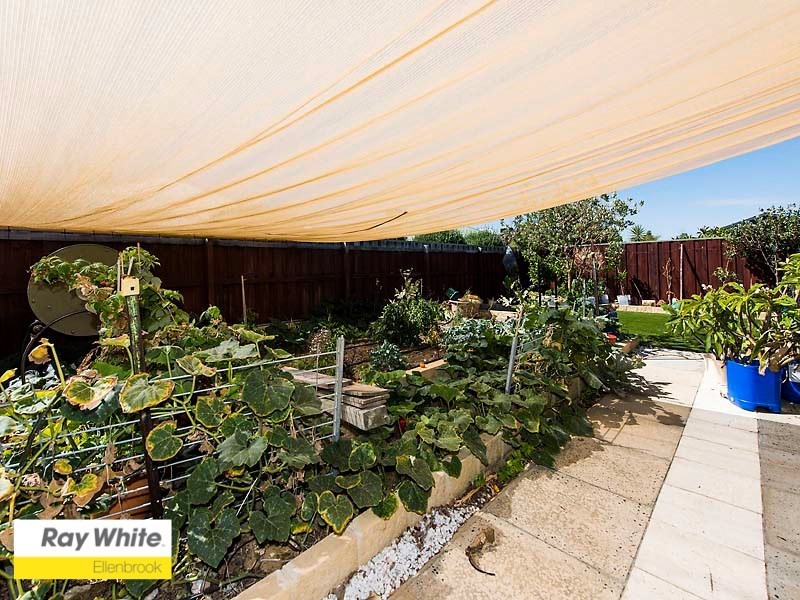 3 Thetis Terrace, Ellenbrook WA 6069