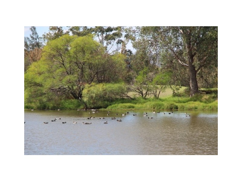 7 Lakefront Drive, The Vines WA 6069