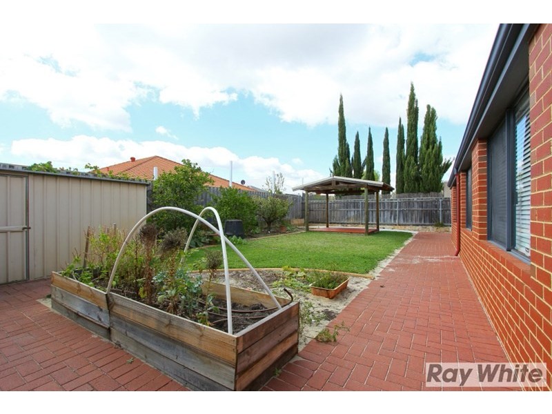 62 Delmage Circle, Ellenbrook WA 6069