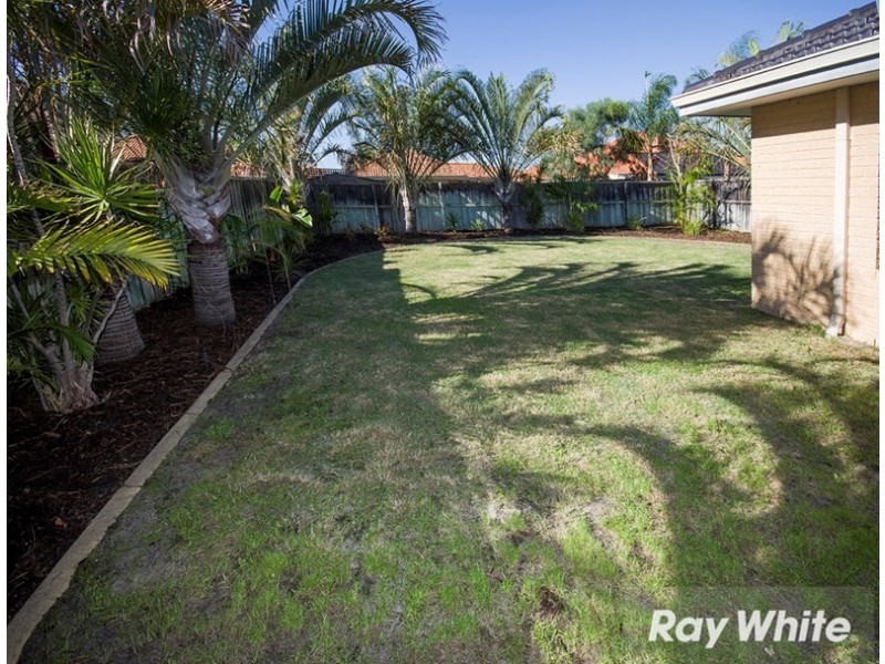 12 Napoli Avenue, Ellenbrook WA 6069