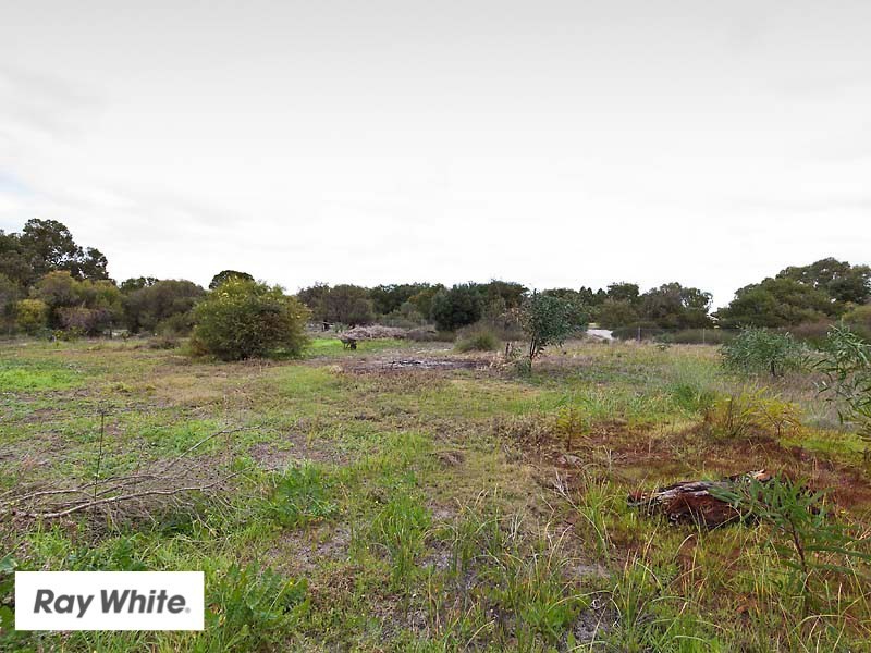 77 Chardonnay Drive, The Vines WA 6069