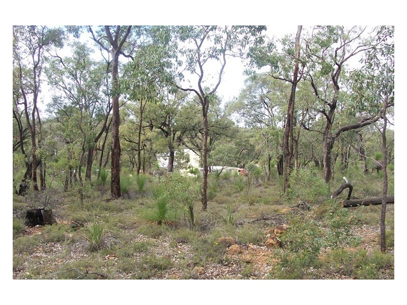 Lot 310 Patersonia Road, Chittering WA 6084