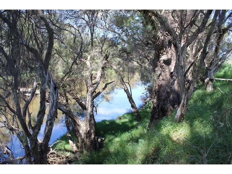 47 Caroline Retreat, Henley Brook WA 6055