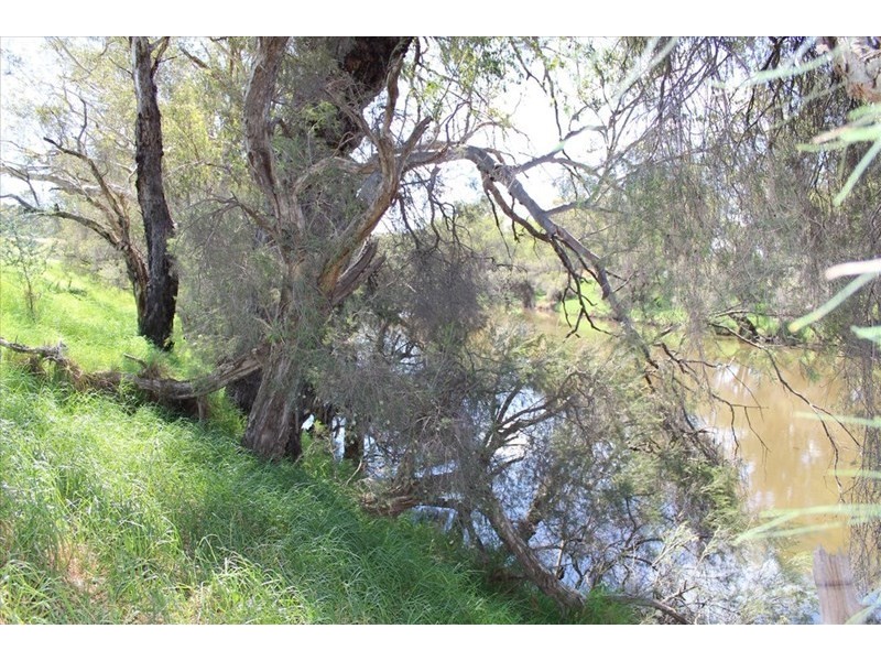 47 Caroline Retreat, Henley Brook WA 6055