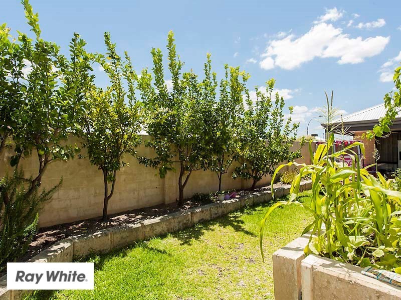 28 Parnham Avenue, Ellenbrook WA 6069