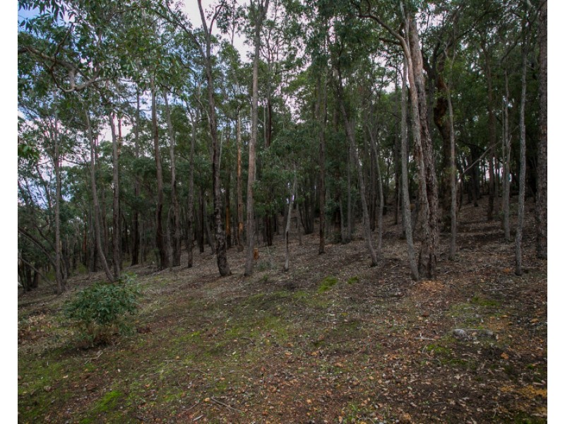 68 Tarbenian Way, Brigadoon WA 6069