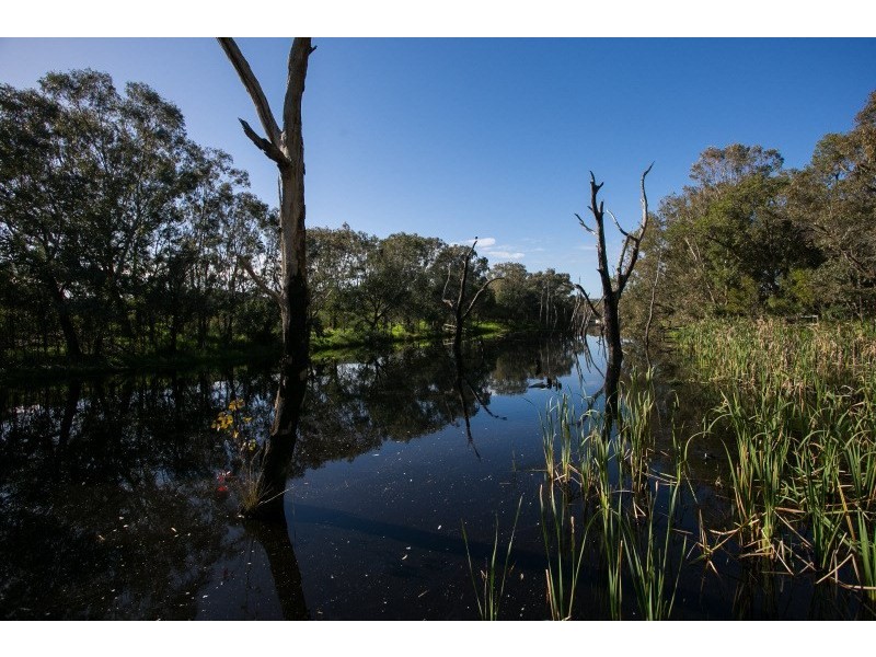 5 Stable Vista, The Vines WA 6069