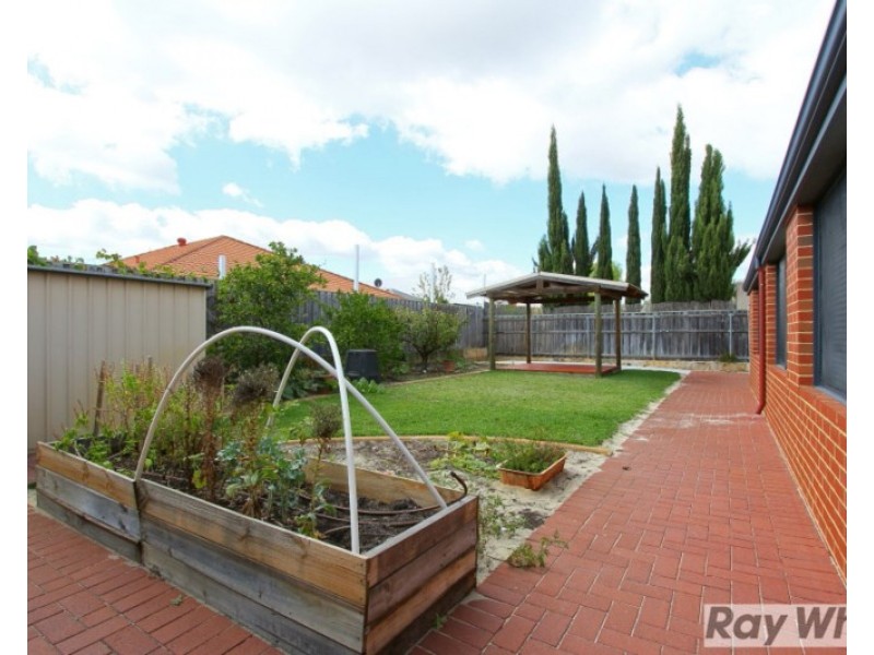 62 Delmage Circle, Ellenbrook WA 6069