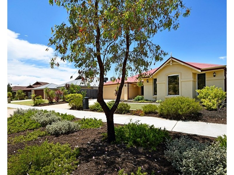 41 Charlottes Vista, Ellenbrook WA 6069