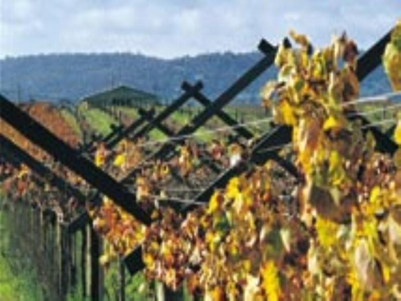 Lot 60 Millhouse Road, Belhus WA 6069