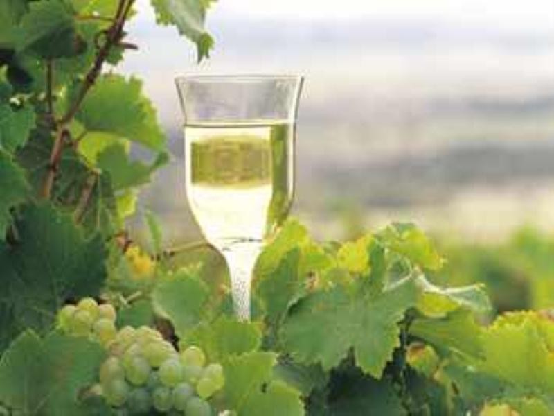 Lot 60 Millhouse Road, Belhus WA 6069