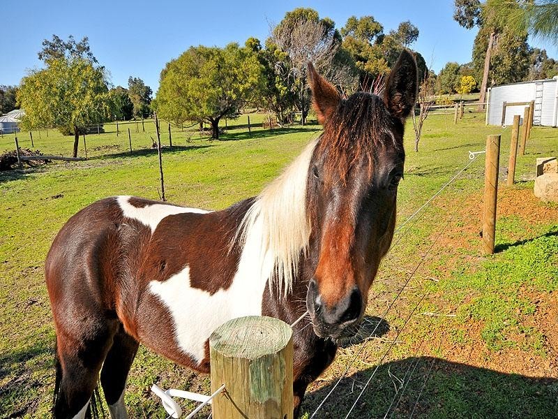 109 Devon Way, Lower Chittering WA 6084