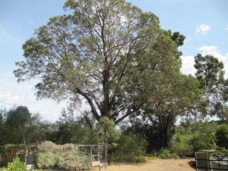 164 Meadowbrook Ramble, Bullsbrook WA 6084