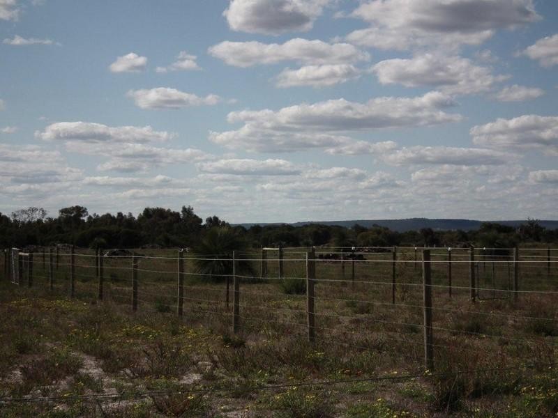 62 Muckenburra Road, Gingin WA 6503